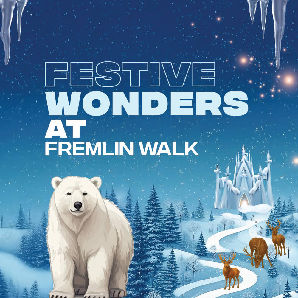 Festive Wonders at Fremlin Walk
